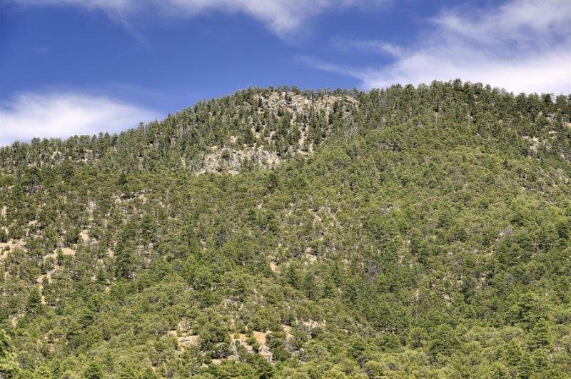 Ponderosa Estate Villa Santa Fe Dış mekan fotoğraf